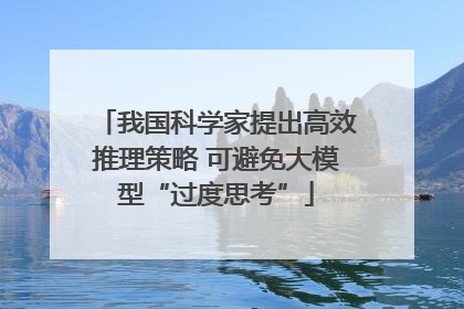 我国科学家提出高效推理策略 可避免大模型“过度思考”