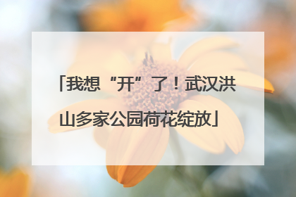 我想“开”了！武汉洪山多家公园荷花绽放