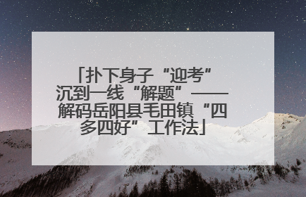 扑下身子“迎考” 沉到一线“解题”——解码岳阳县毛田镇“四多四好”工作法