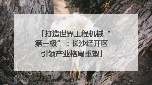 打造世界工程机械“第三极”：长沙经开区引领产业格局重塑