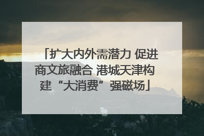 扩大内外需潜力 促进商文旅融合 港城天津构建“大消费”强磁场