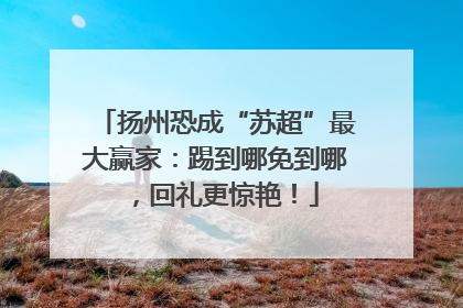 扬州恐成“苏超”最大赢家：踢到哪免到哪，回礼更惊艳！