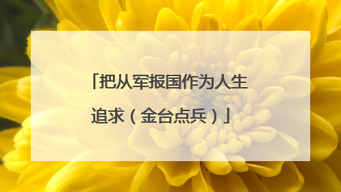 把从军报国作为人生追求（金台点兵）