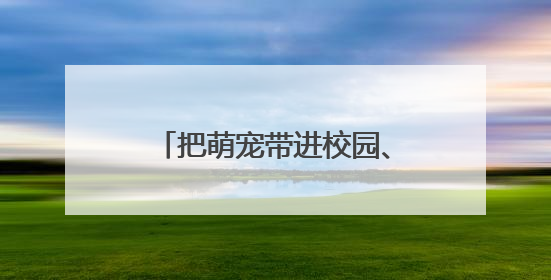 把萌宠带进校园、“编花篮”经典游戏大pk……南京小学花式“庆六一”