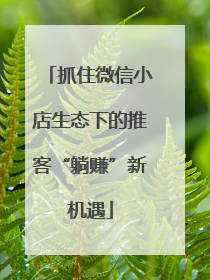 抓住微信小店生态下的推客“躺赚”新机遇