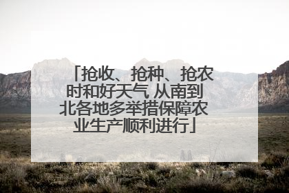 抢收、抢种、抢农时和好天气 从南到北各地多举措保障农业生产顺利进行