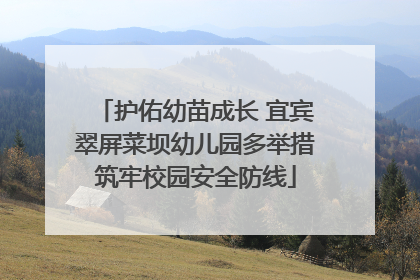 护佑幼苗成长 宜宾翠屏菜坝幼儿园多举措筑牢校园安全防线