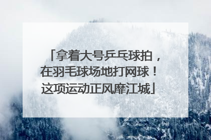 拿着大号乒乓球拍，在羽毛球场地打网球！这项运动正风靡江城