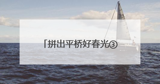 拼出平桥好春光③｜交出振兴新答卷