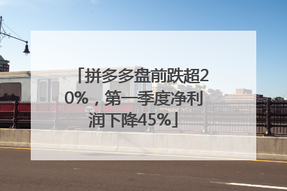 拼多多盘前跌超20%，第一季度净利润下降45%
