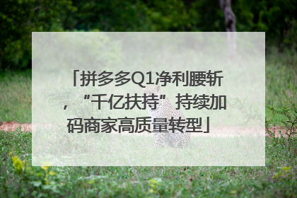 拼多多Q1净利腰斩，“千亿扶持”持续加码商家高质量转型