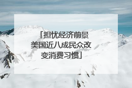 担忧经济前景 美国近八成民众改变消费习惯
