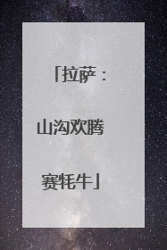 拉萨：山沟欢腾赛牦牛