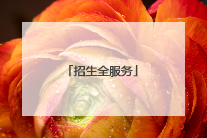 招生全服务