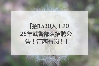 招1530人！2025年武警部队招聘公告！江西有岗！