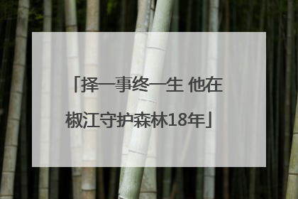 择一事终一生 他在椒江守护森林18年