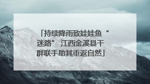 持续降雨致娃娃鱼“迷路” 江西金溪县干群联手助其重返自然