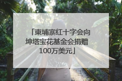 柬埔寨红十字会向坤塔宝花基金会捐赠100万美元