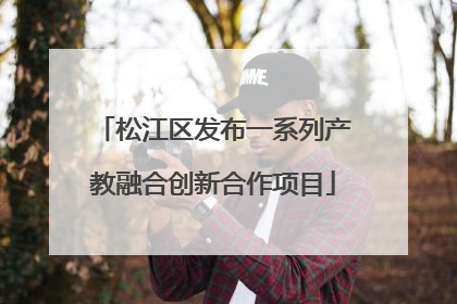 松江区发布一系列产教融合创新合作项目