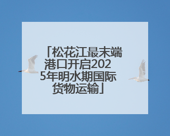 松花江最末端港口开启2025年明水期国际货物运输