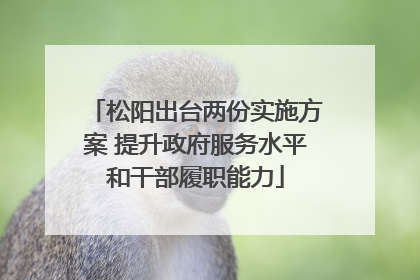 松阳出台两份实施方案 提升政府服务水平和干部履职能力