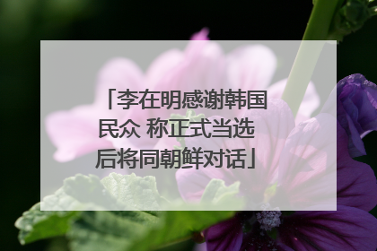 李在明感谢韩国民众 称正式当选后将同朝鲜对话