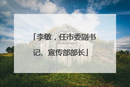 李敏，任市委副书记、宣传部部长