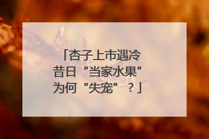 杏子上市遇冷 昔日“当家水果”为何“失宠”？