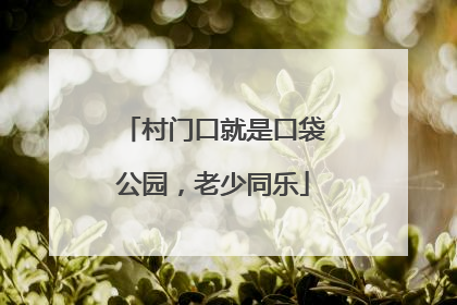 村门口就是口袋公园，老少同乐