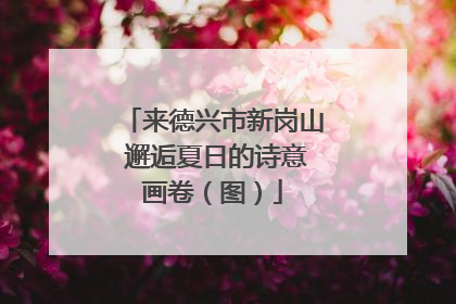 来德兴市新岗山 邂逅夏日的诗意画卷（图）
