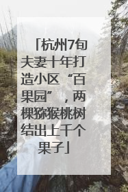 杭州7旬夫妻十年打造小区“百果园”，两棵猕猴桃树结出上千个果子
