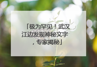 极为罕见！武汉江边发现神秘文字，专家揭秘
