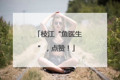 枝江“鱼医生”，点赞！