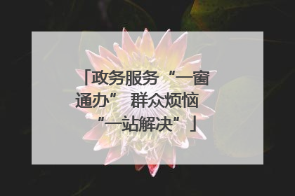 政务服务“一窗通办” 群众烦恼“一站解决”
