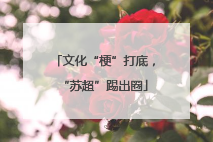 文化“梗”打底，“苏超”踢出圈