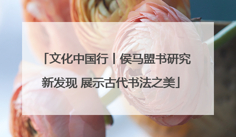 文化中国行丨侯马盟书研究新发现 展示古代书法之美