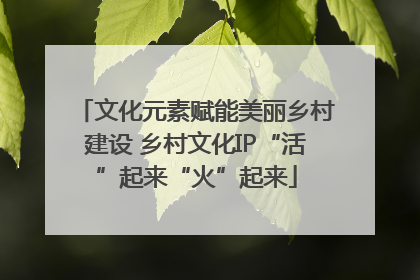 文化元素赋能美丽乡村建设 乡村文化IP“活”起来“火”起来