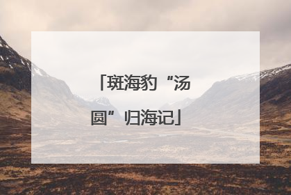 斑海豹“汤圆”归海记