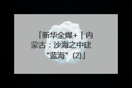 新华全媒+｜内蒙古：沙海之中建“蓝海”(2)
