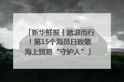 新华鲜报丨踏浪而行！第15个海员日致敬海上贸易“守护人”