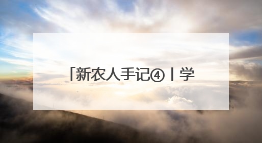 新农人手记④丨学以致用启新程 看湘潭新农人的文旅融合与产业升级之路