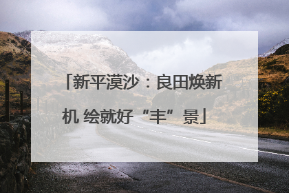 新平漠沙：良田焕新机 绘就好“丰”景