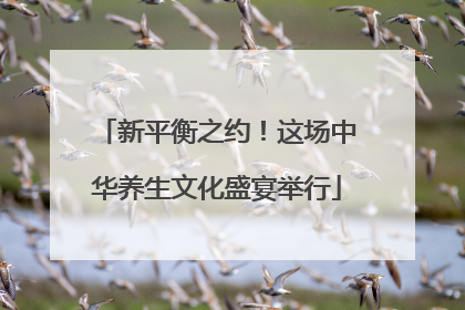 新平衡之约！这场中华养生文化盛宴举行