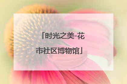 时光之美-花市社区博物馆