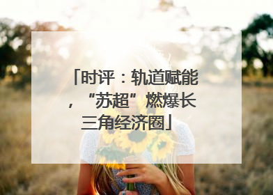 时评：轨道赋能，“苏超”燃爆长三角经济圈