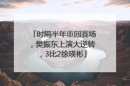 时隔半年重回赛场，樊振东上演大逆转，3比2徐瑛彬