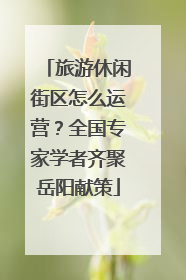 旅游休闲街区怎么运营？全国专家学者齐聚岳阳献策