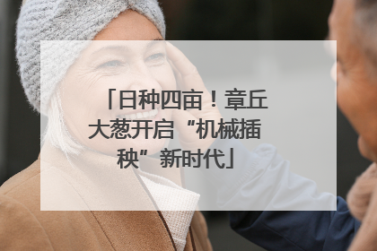 日种四亩！章丘大葱开启“机械插秧”新时代