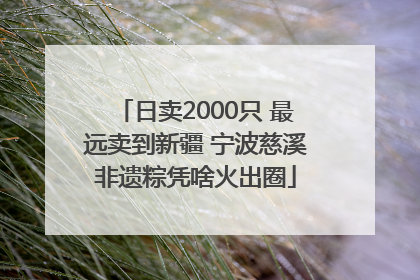 日卖2000只 最远卖到新疆 宁波慈溪非遗粽凭啥火出圈