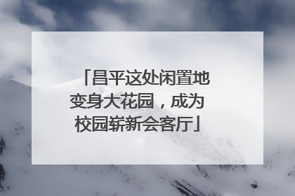 昌平这处闲置地变身大花园，成为校园崭新会客厅